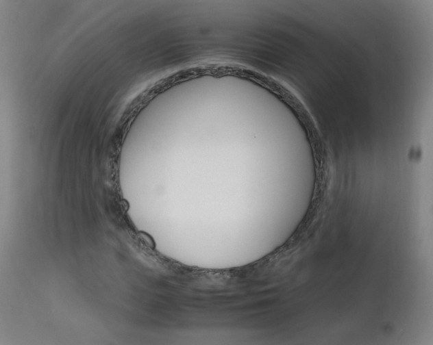 X0000112970823200908270941