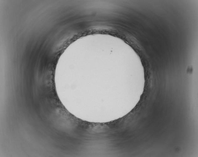 X0000112970824200908270941