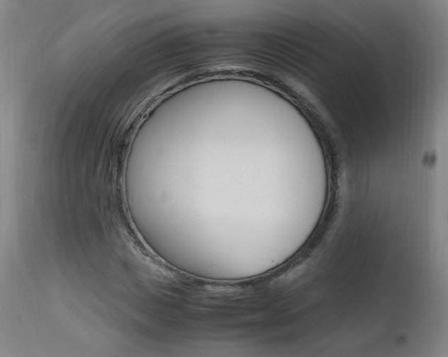 X0000112970825200908270941