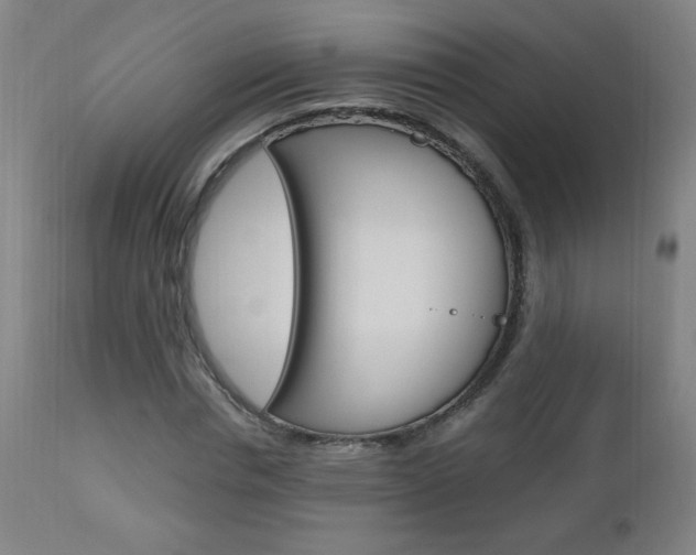 X0000112970826200908270941