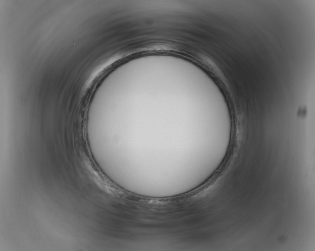 X0000112970827200908270941