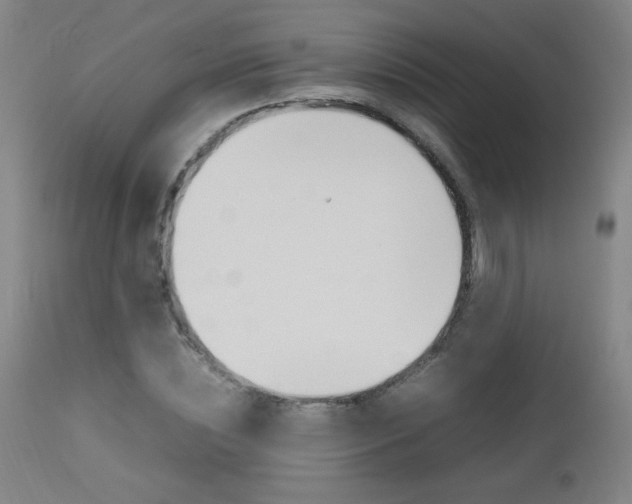 X0000112970828200908270941