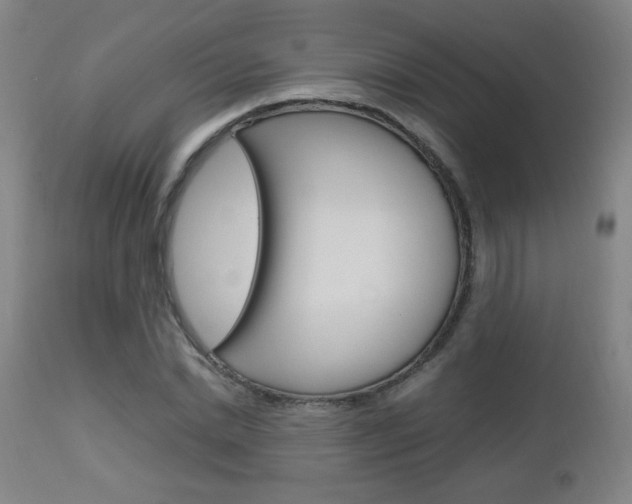 X0000112970830200908270941