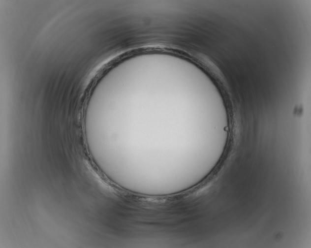 X0000112970831200908270941
