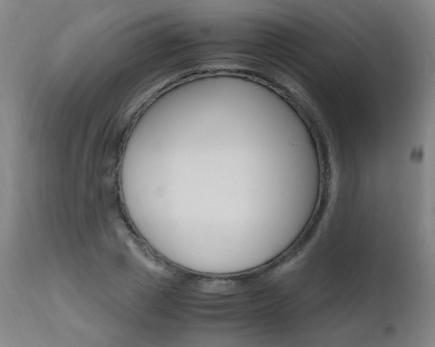 X0000112970833200908270941