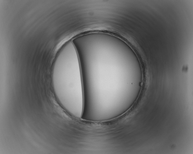 X0000112970834200908270941