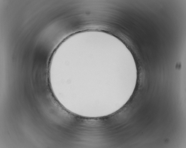 X0000112970836200908270941