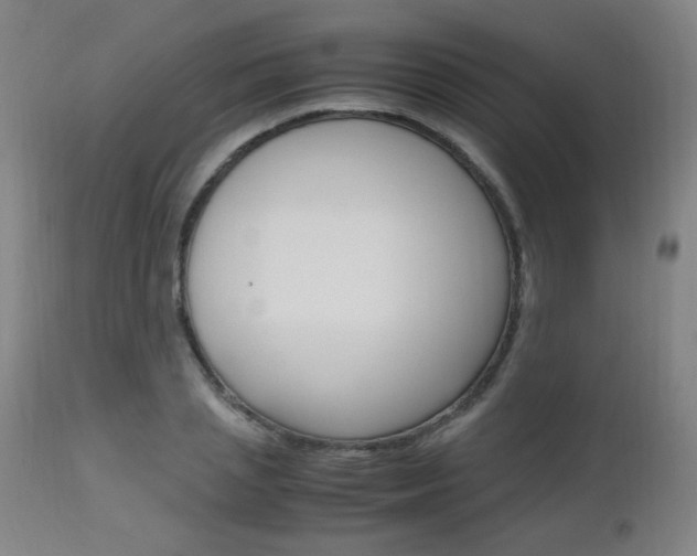 X0000112970837200908270941