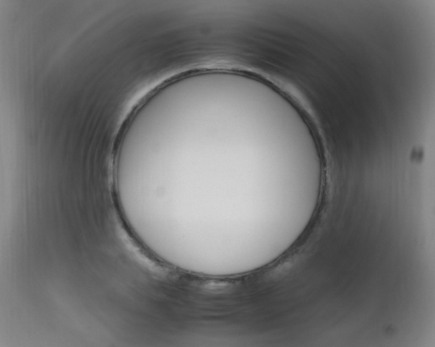 X0000112970839200908270941