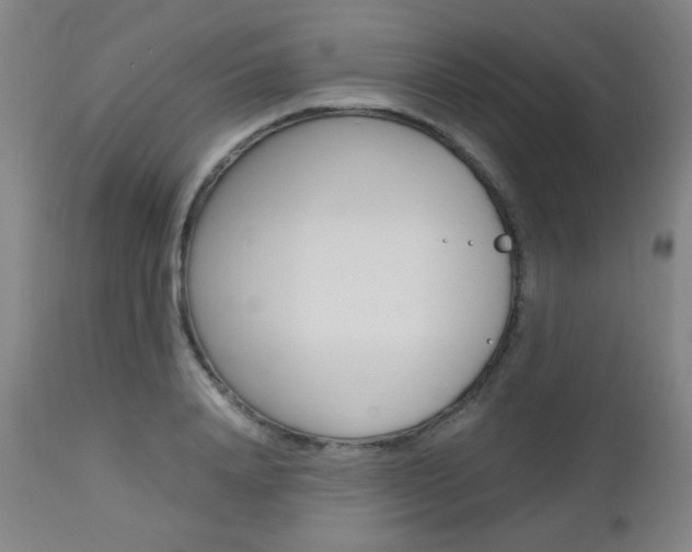 X0000112970840200908270941