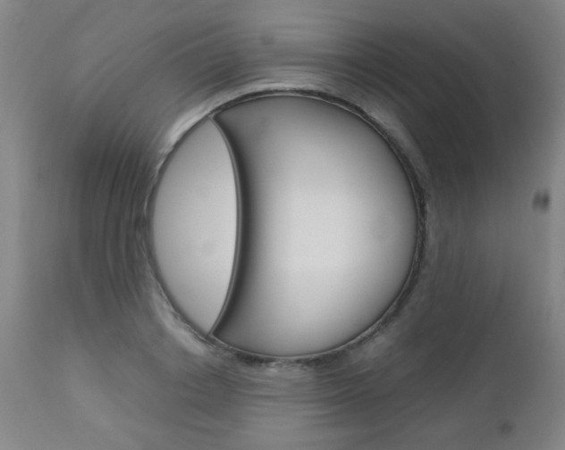 X0000112970842200908270941