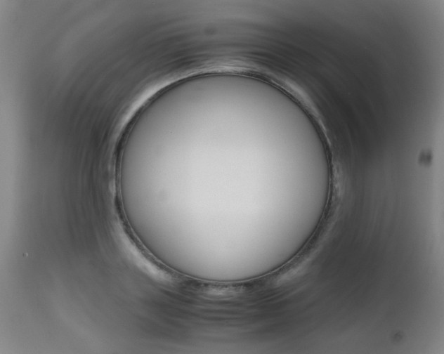 X0000112970843200908270941