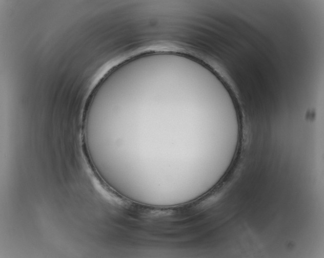 X0000112970845200908270941