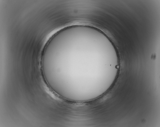 X0000112970846200908270941