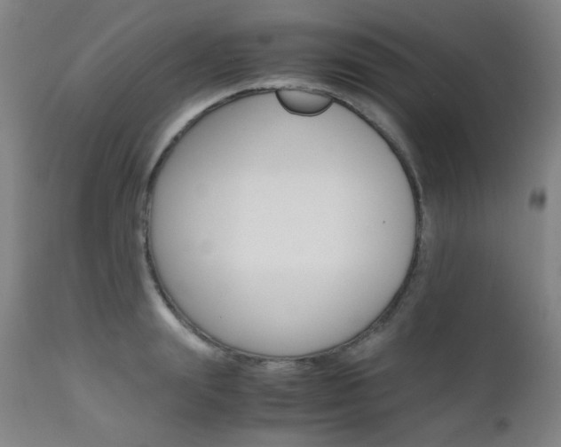 X0000112970847200908270941