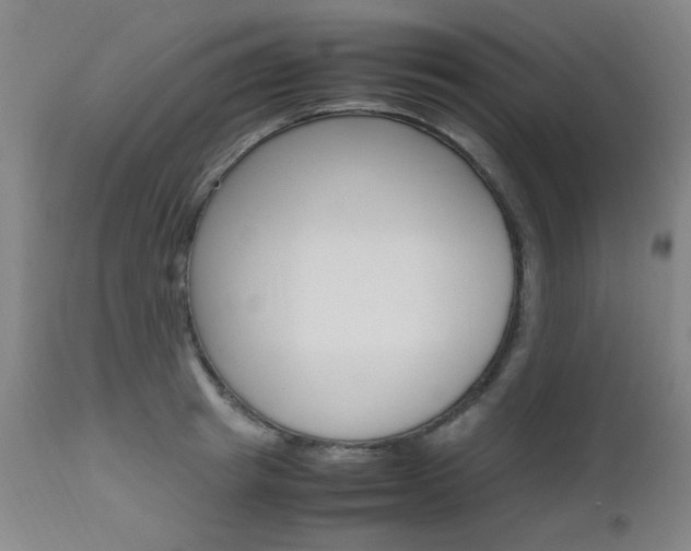 X0000112970849200908270941