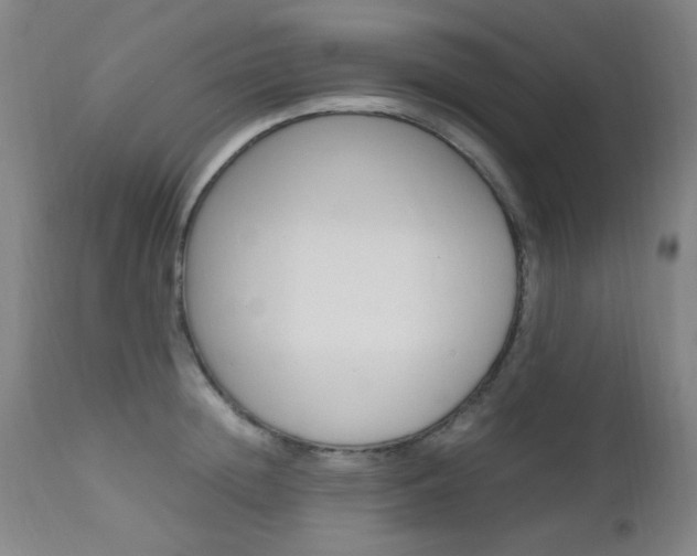 X0000112970852200908270941