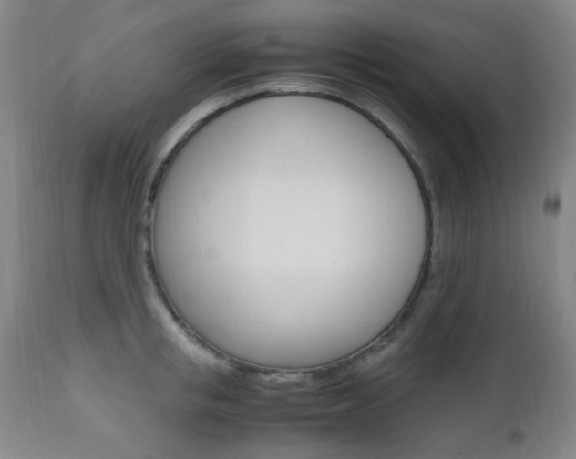 X0000112970853200908270941