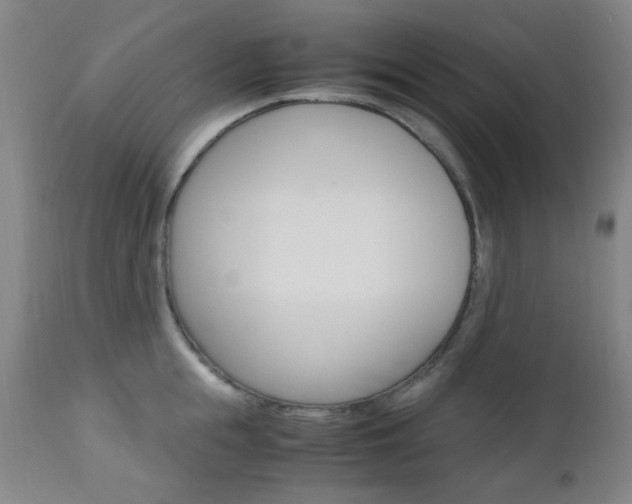 X0000112970855200908270941