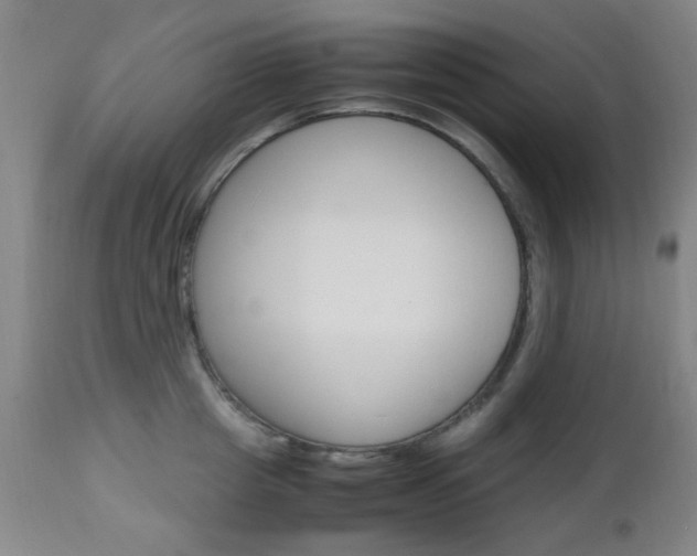 X0000112970857200908270941