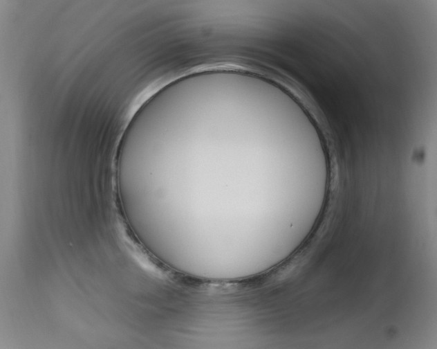 X0000112970858200908270942