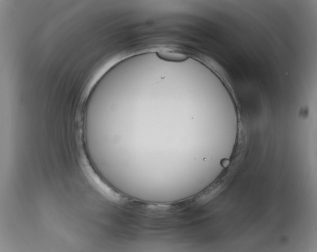 X0000112970859200908270942