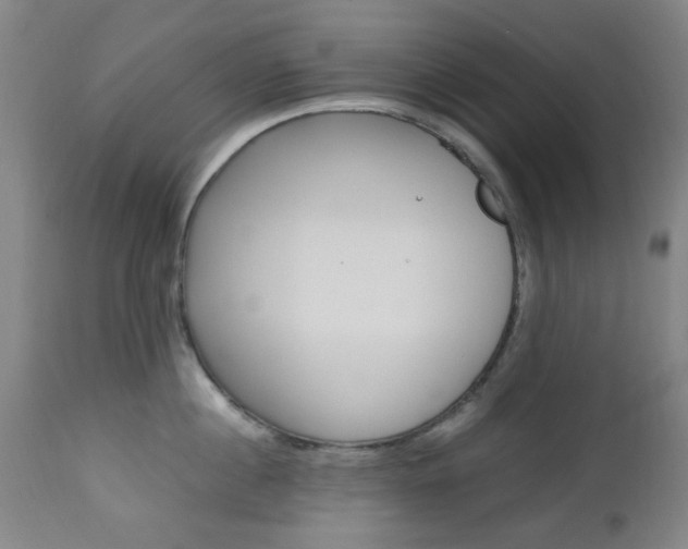 X0000112970860200908270942