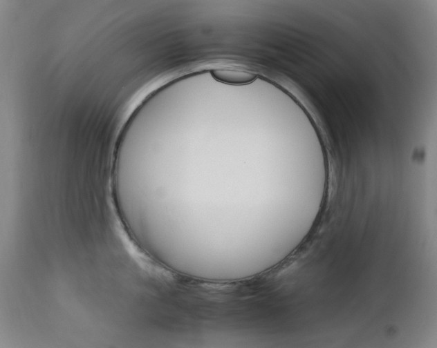 X0000112970861200908270942