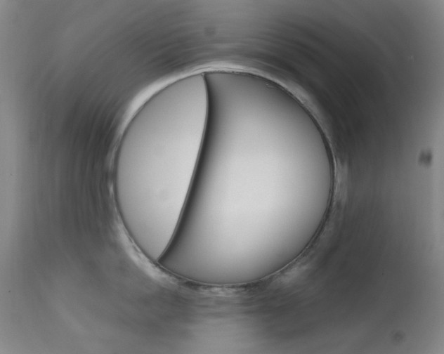 X0000112970862200908270942