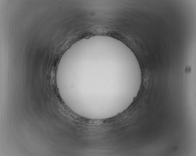 X0000112970866200908270941