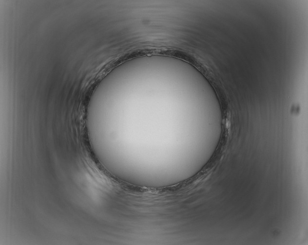 X0000112970867200908270941