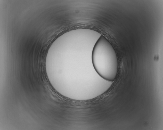 X0000112970868200908270941