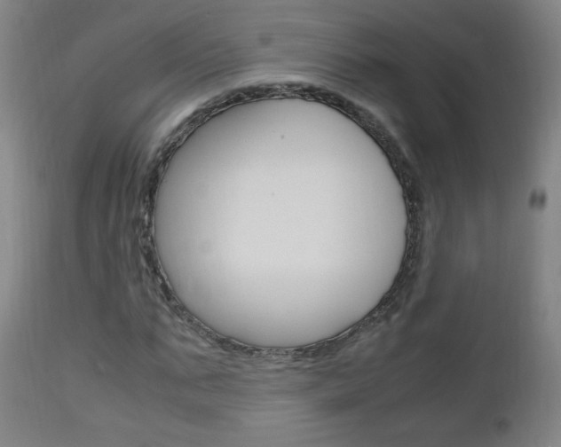 X0000112970871200908270941