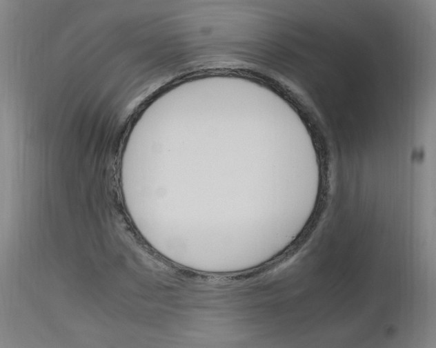 X0000112970873200908270941