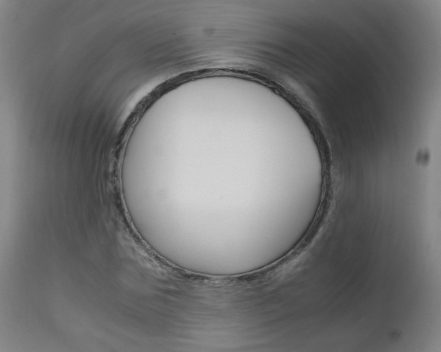X0000112970875200908270941
