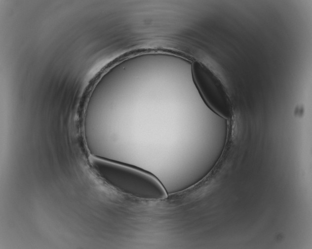 X0000112970876200908270941
