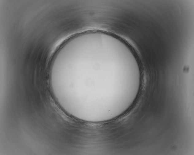 X0000112970878200908270941