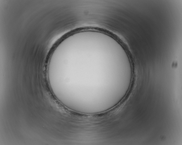 X0000112970879200908270941