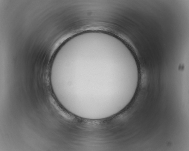 X0000112970882200908270940
