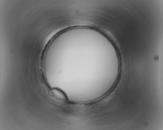 X0000112970883200908270940