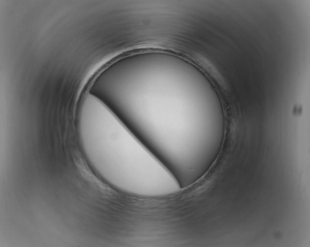 X0000112970884200908270940