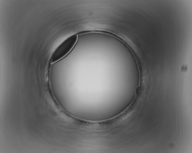 X0000112970885200908270940