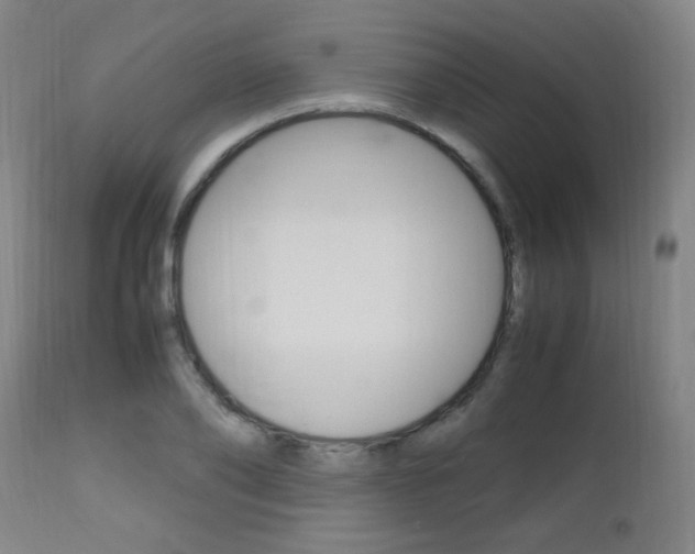 X0000112970886200908270940