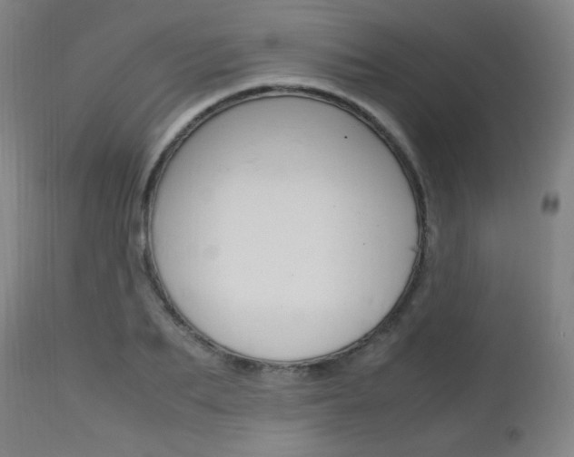 X0000112970887200908270940