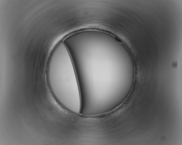 X0000112970888200908270940