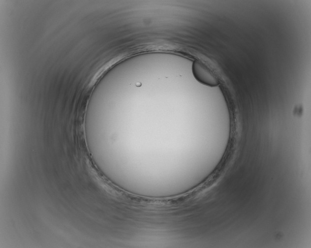 X0000112970889200908270940