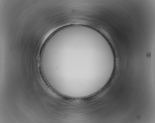 X0000112970891200908270940