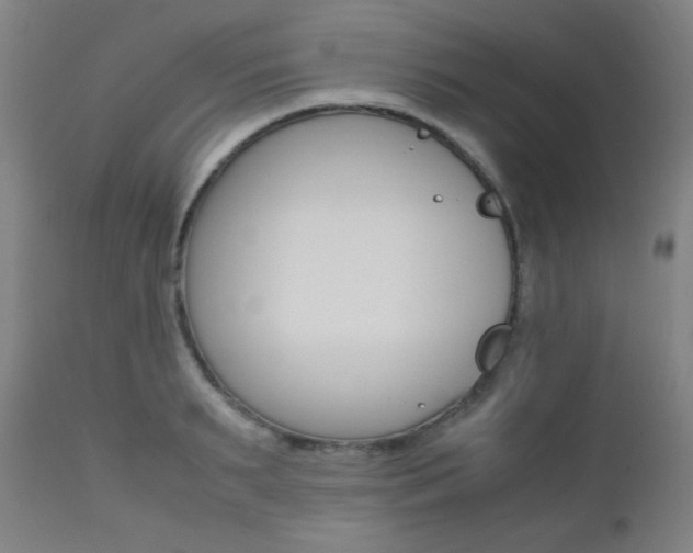 X0000112970895200908270940