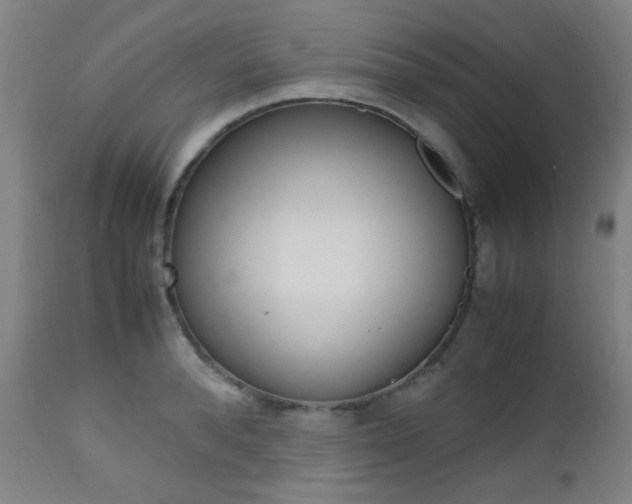 X0000112970896200908270940