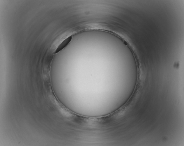 X0000112970897200908270940